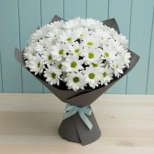 Букет цветов из:  Хризантемы #REPLACE_PRED# Болтино