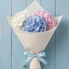 Букет цветов из:  Гортензия в Болтино