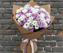 Букет цветов из:  Хризантемы #REPLACE_PRED# Болтино