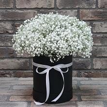 Цветочная композиция из Гипсофила в шляпной коробке в Болтино