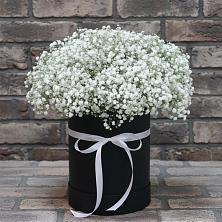 Цветочная композиция из Гипсофила в шляпной коробке в Болтино