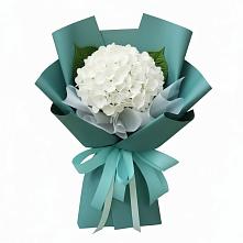 Букет цветов из:  Гортензия в Болтино